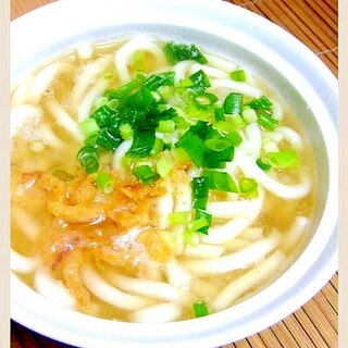 やわやわうどん♡おろしとさきいか天入り